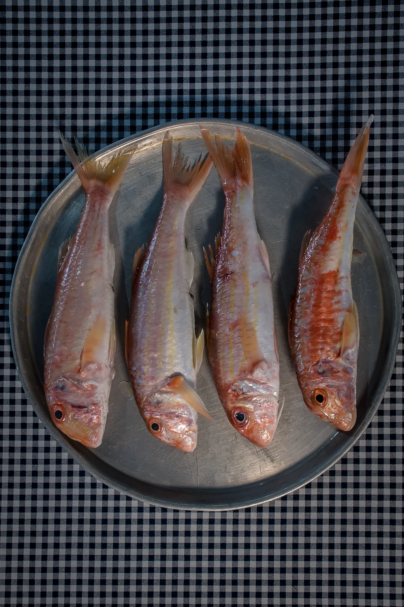 The day's fresh red mullet