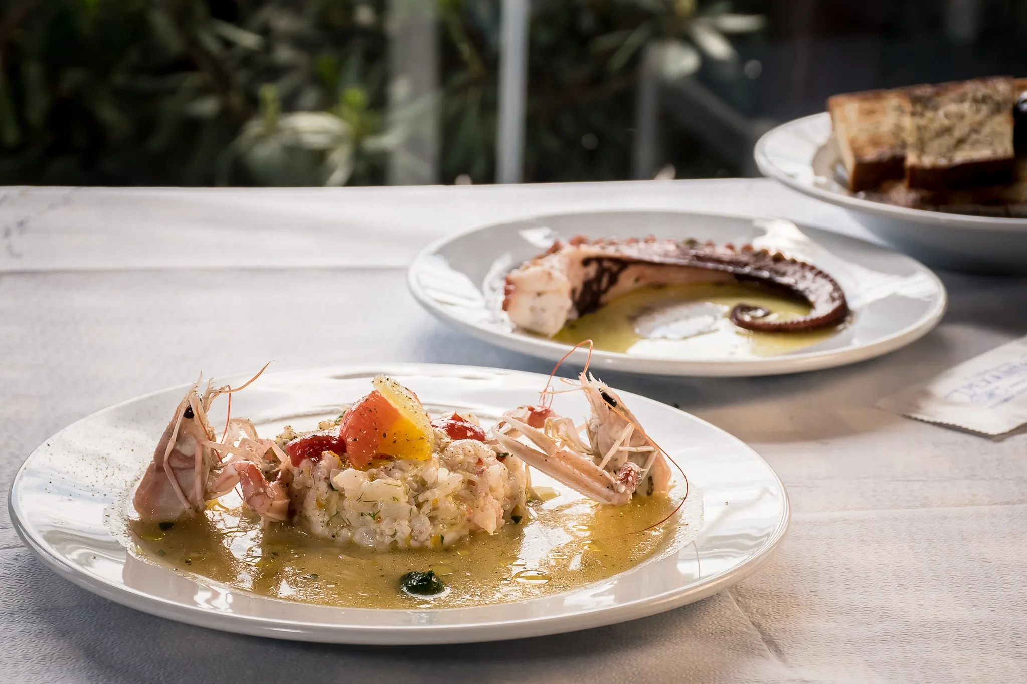Octopus, and langoustine risotto